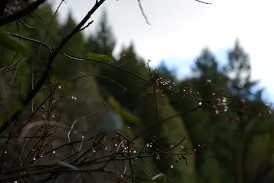 DSC_0888 (Large).JPG